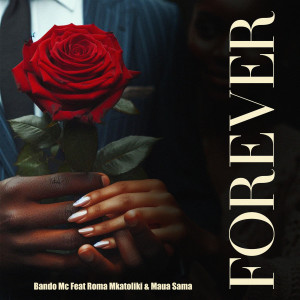 Listen to Forever song with lyrics from Bando MC