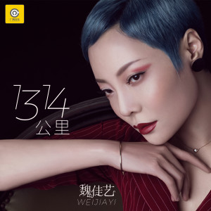 收听魏佳艺的1314公里 (DJ版)歌词歌曲