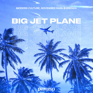 Modern Culture的專輯Big Jet Plane