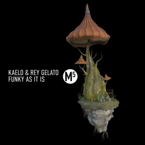 ดาวน์โหลดและฟังเพลง Funky as It Is (Original Mix) พร้อมเนื้อเพลงจาก Kaelo
