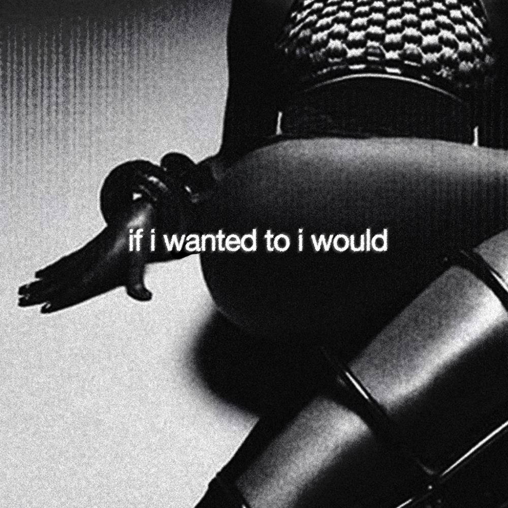 If I wanted to I would (Explicit)