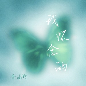 Album 我怀念的 from 