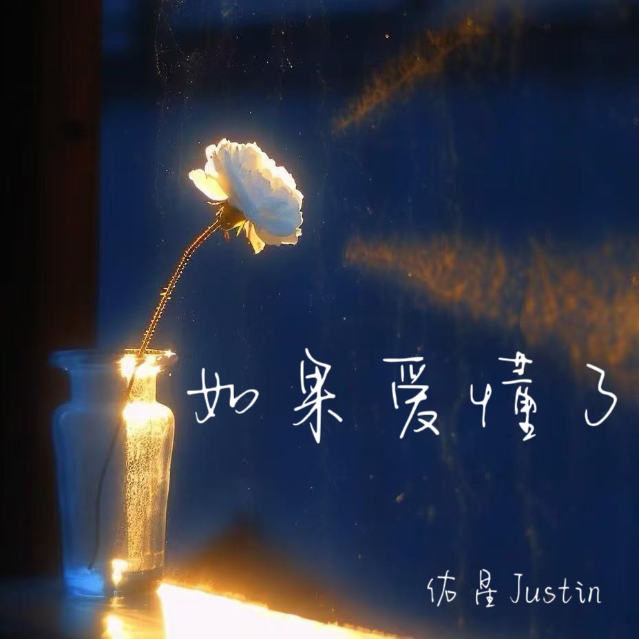 如果爱懂了