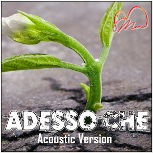 Album Adesso che (Acoustic version) from Memo