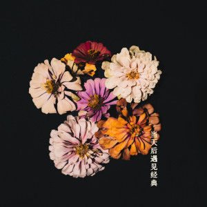 ดาวน์โหลดและฟังเพลง 假如我是真的 พร้อมเนื้อเพลงจาก 蔡琴
