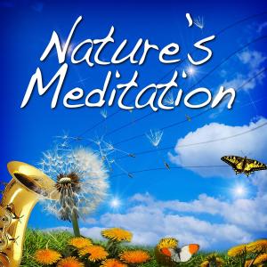 收聽Sounds of Nature White Noise for Mindfulness的Seeking the Light - Healing Loon Calls歌詞歌曲