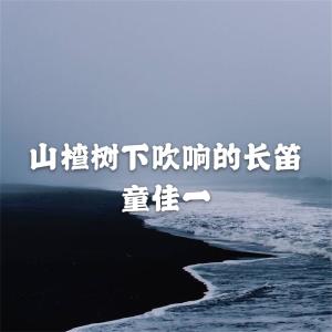 Dengarkan 玛利亚要去远方 lagu dari 童佳一 dengan lirik