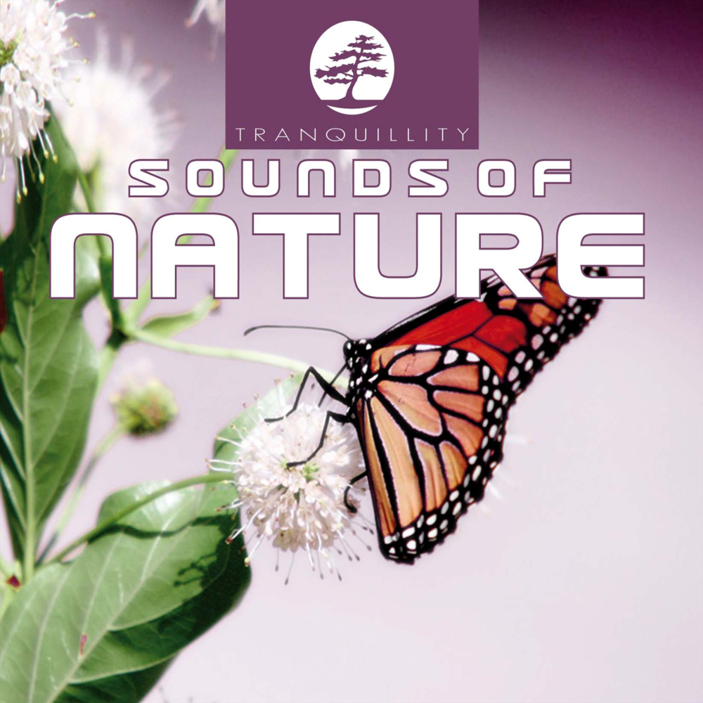 Ambient Sounds Of Nature Part 4 - Original