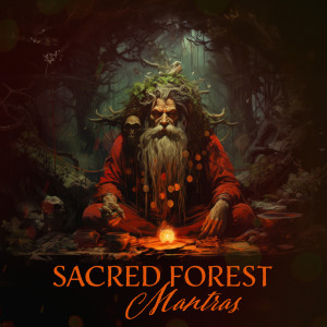 Close to Nature Music Ensemble的專輯Sacred Forest Mantras (Shamanic Throat Singing, Spiritual Balancing)