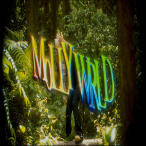 收聽Johnnyboi的MOLLY WRLD (feat. SiNNER MOON) (Explicit)歌詞歌曲