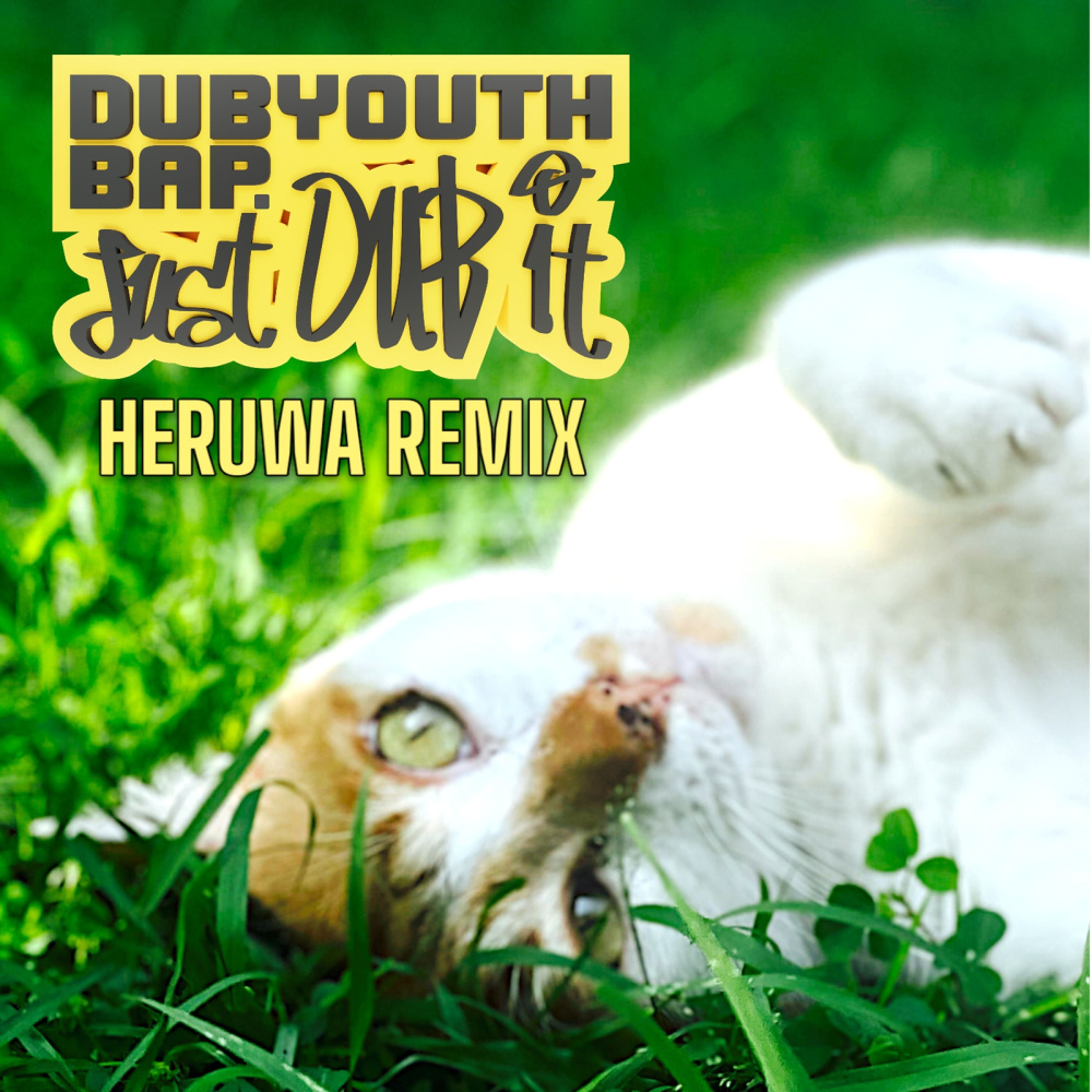 Just Dub It (Remix|Explicit)