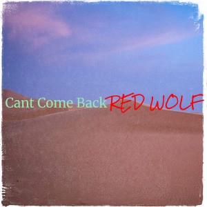 Album Cant Come Back from 