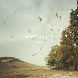 Album Wind Sound from Neoul