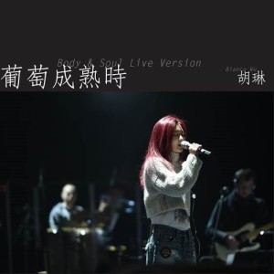 Listen to Pu Tao Cheng Shou Shi (body and soul live version) (Body And Soul Live Version) song with lyrics from Bianca Wu (胡琳)