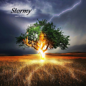 收听Direct to Dreams的Stormy歌词歌曲