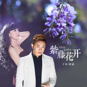 收聽丁童的紫藤花開歌詞歌曲