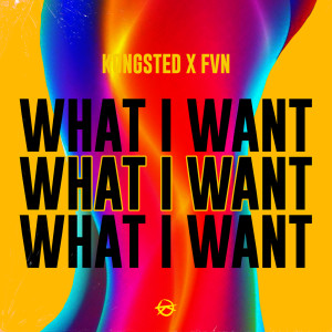 Kongsted的專輯What I Want (Explicit)