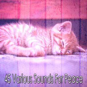 Listen to Relaxing in the Evening song with lyrics from Rest