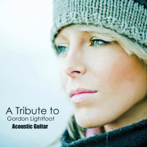收聽Acoustic Guitar Tribute Players的Circle of Life歌詞歌曲