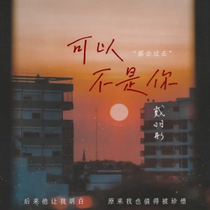 Listen to 可以不是你 (女版) song with lyrics from 戴羽彤