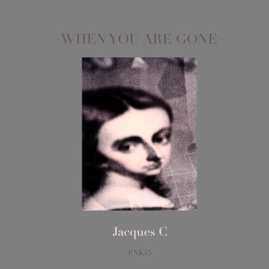 收聽Jacques C的When You Are Gone (Vaerelsen feat. Johan Damm Remix)歌詞歌曲
