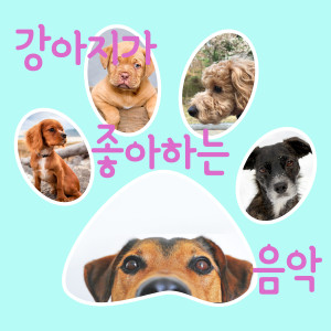 收听萌犬喜欢的音乐的平和的心态(ASMR 雨声) (ASMR 빗소리)歌词歌曲