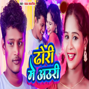 Album Dhori Me Auri from Pawan Sawariya