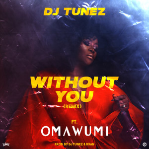 Without You Remix