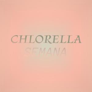 Listen to Heart Drill song with lyrics from Branville Chane