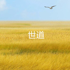 收听仔洋的世道歌词歌曲