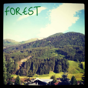 ดาวน์โหลดและฟังเพลง Forest พร้อมเนื้อเพลงจาก Black Fox