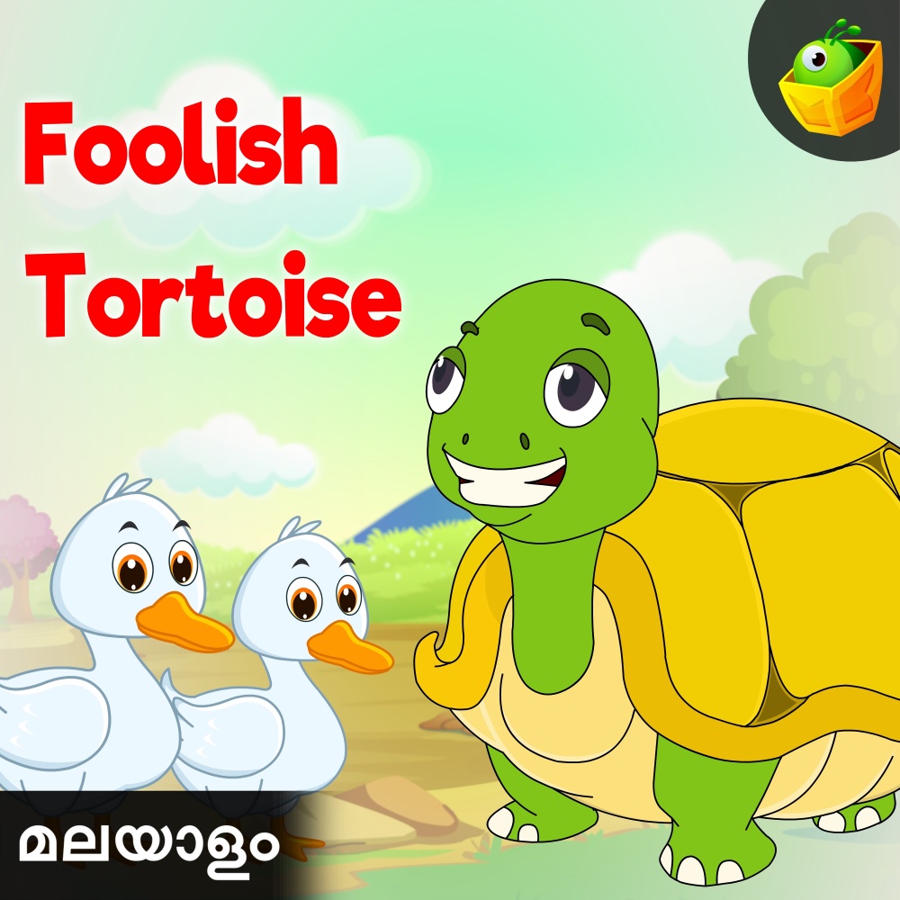Foolish Tortoise