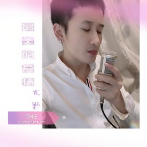 Album 最美的爱情 from 龙野