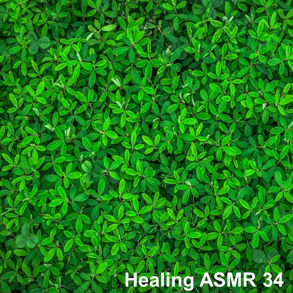 Healing ASMR 34 - Best Comfortable Sleep Rain Sound ASMR for Sleep