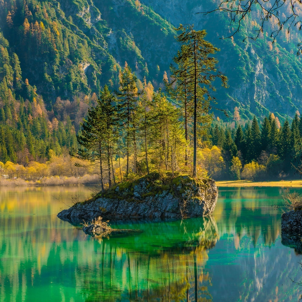 Calm River Stream