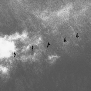 ดาวน์โหลดและฟังเพลง Contact พร้อมเนื้อเพลงจาก Fearful