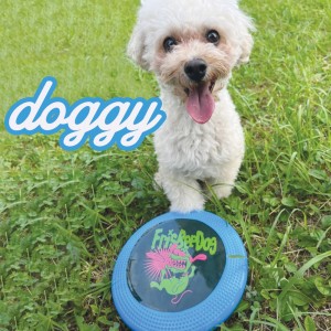 ดาวน์โหลดและฟังเพลง hate พร้อมเนื้อเพลงจาก FrisBeeDog