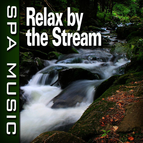 Tranquil Stream with Music