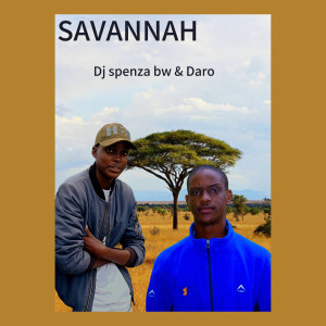 Daro的專輯SAVANNAH