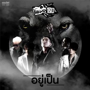 ดาวน์โหลดและฟังเพลง อยู่เป็น พร้อมเนื้อเพลงจาก TONO & The DUST
