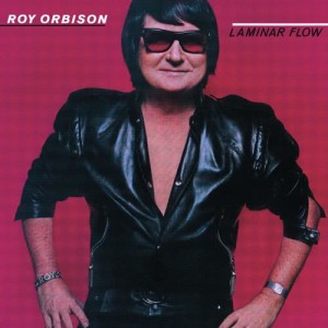 ดาวน์โหลดและฟังเพลง Lay It Down พร้อมเนื้อเพลงจาก Roy Orbison