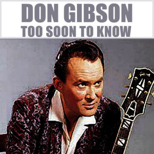 收聽Don Gibson的I Cant Stop Loving You歌詞歌曲