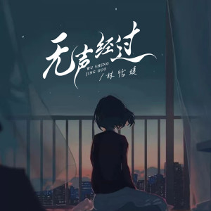 Album 无声经过 from 林怡婕