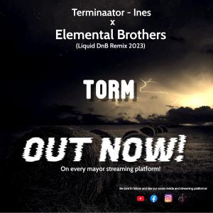 收聽Elemental Brothers的Torm ((Liquid Dnb Mix))歌詞歌曲