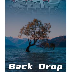 Dsplita的專輯Back Drop