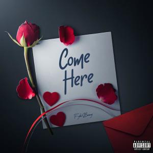 อัลบัม Come Here (Radio Edit) ศิลปิน FybBoog