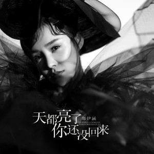 收聽鄭伊涵的天都亮了你還沒回來 (Mix原鄉鼓) (DJ小四 Proghouse Mix原鄉鼓)歌詞歌曲