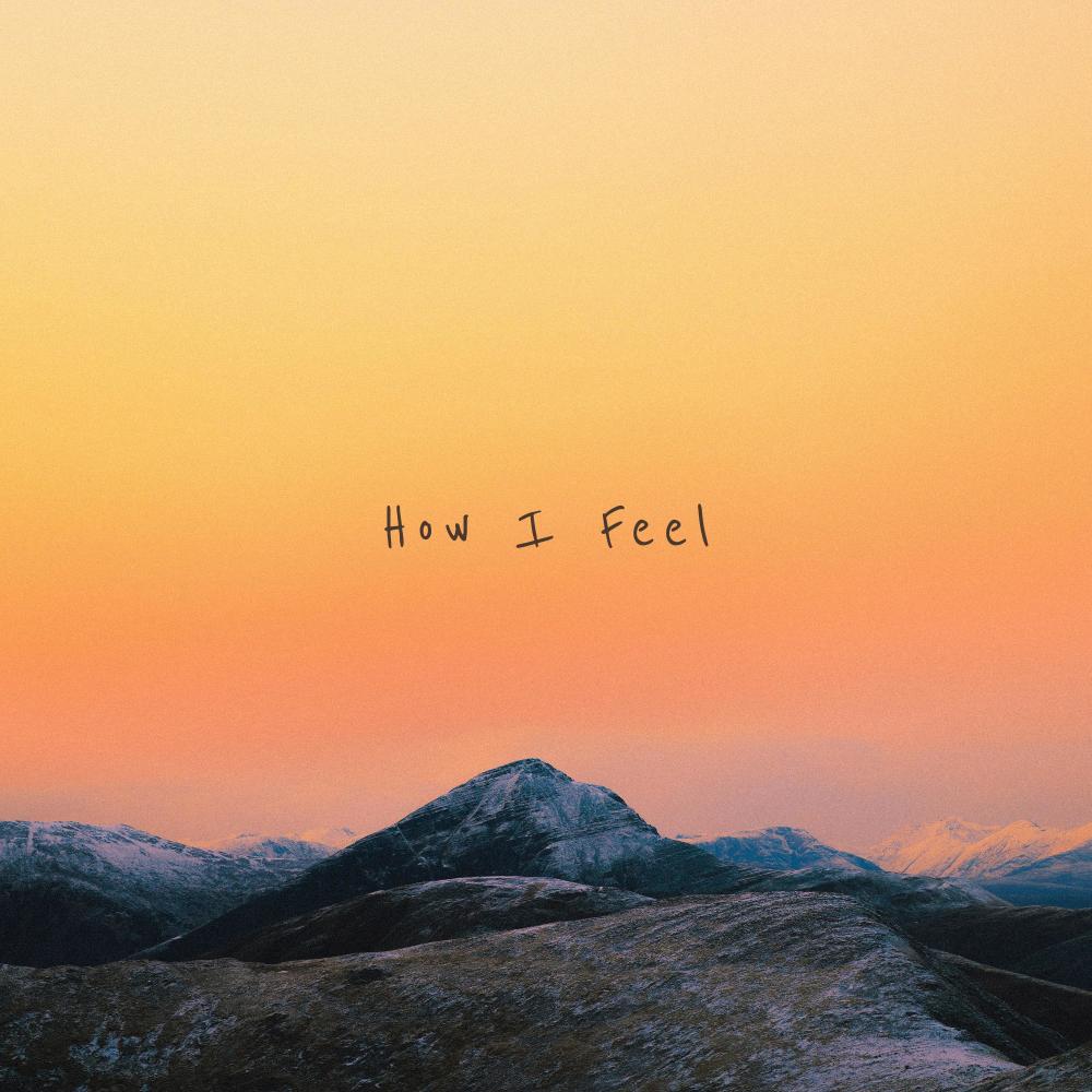 How I Feel
