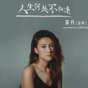 收聽浪哥的人生何處不相逢 (DJ版完整版)歌詞歌曲