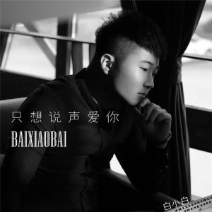Listen to 只想说声爱你 song with lyrics from 白小白